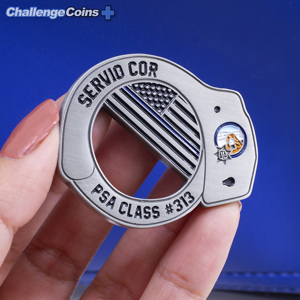 Servio COR PSA Class 313