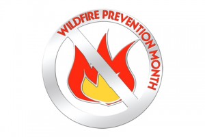 Prevent Wildfires with Custom Lapel Pins