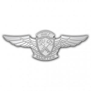 Custom Wing Pins are Great Gifts for Past, Present, and Future Pilots