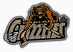 Get a Head Start On Ordering Your Hockey Trading Pins