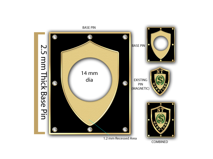 Twelve Visions Party Uses Existing Lapel Pins in Conjunction with New Pins