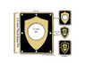 Twelve Visions Party Uses Existing Lapel Pins in Conjunction with New Pins