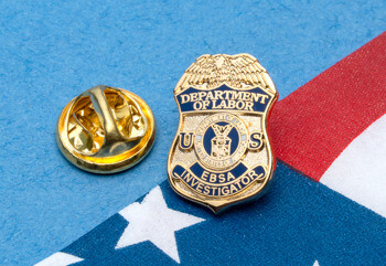 Lapel Pins - Cloisonné