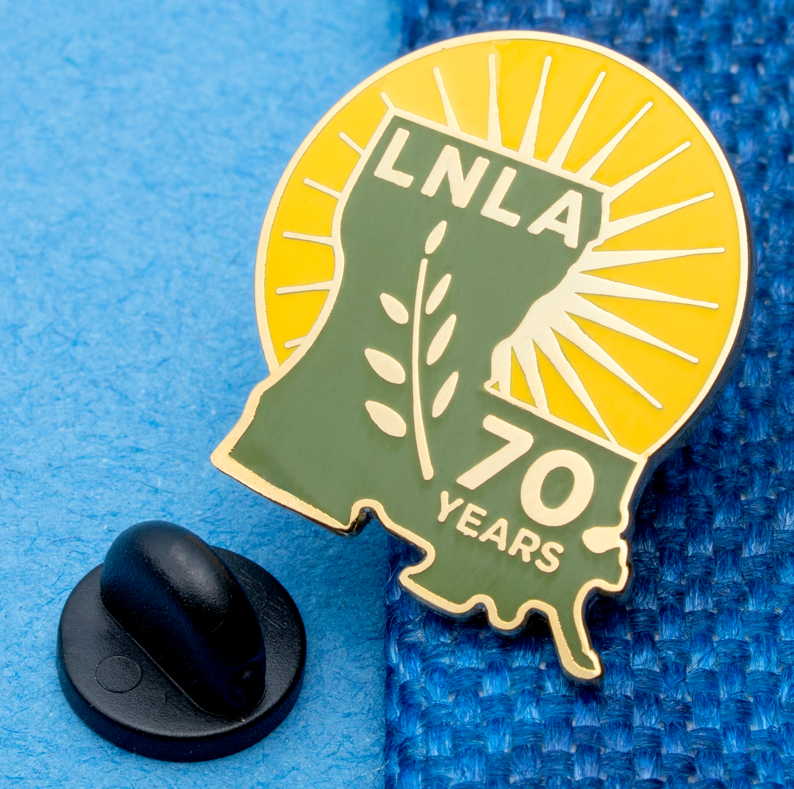 Lapel Pins - Cloisonné