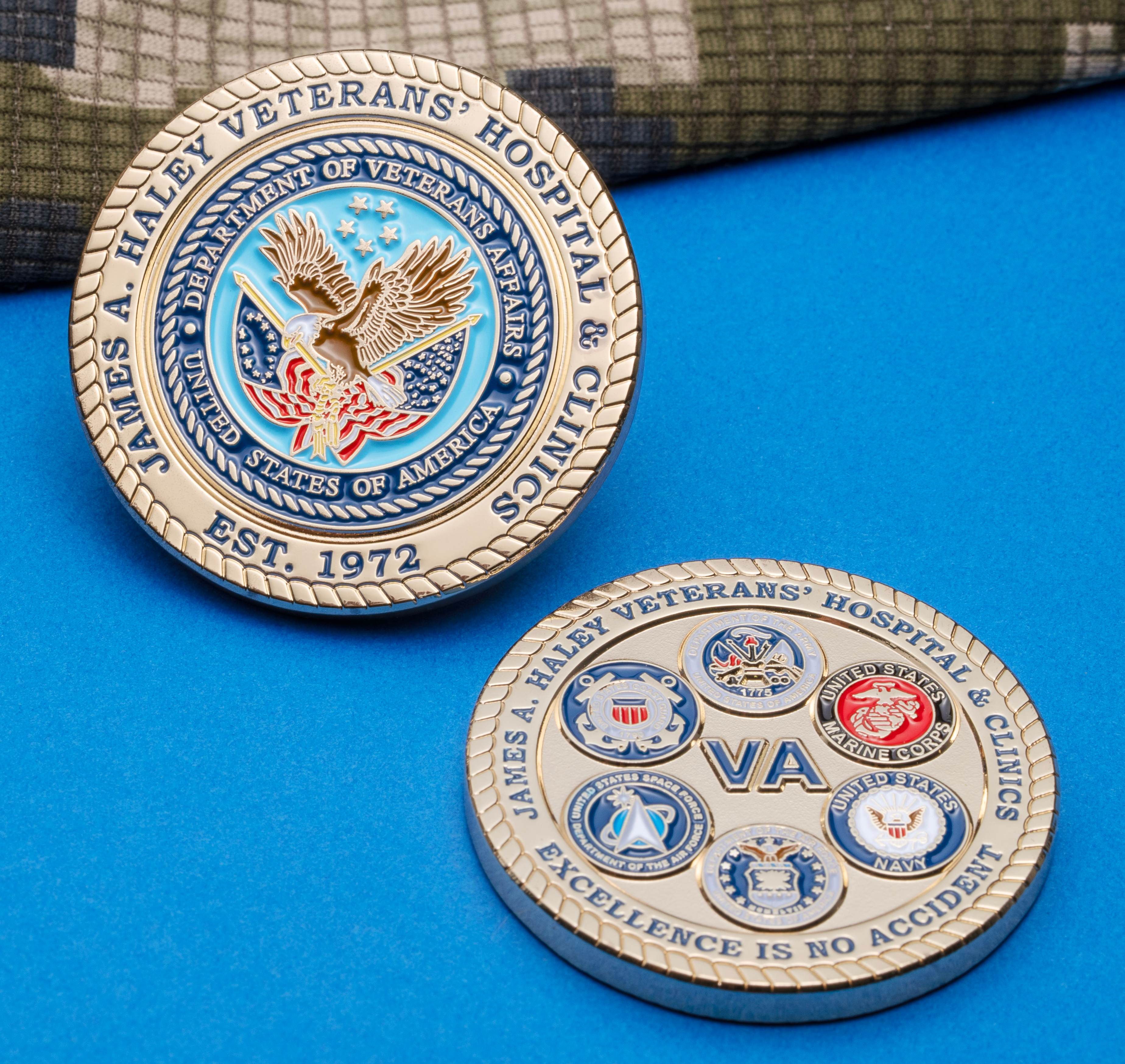Front and back of a gold challenge coin for James A. Haley Veterans' Hospital & Clinics featuring the VA seal and military branch emblems on a blue background.