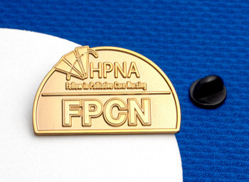 Gold lapel pin featuring the HPNA logo and FPCN Fellow in Palliative Care Nursing text.