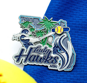 Florida-shaped Lady Hawks softball trading lapel pin featuring palm trees, a batter, and a softball next to a blue jersey.